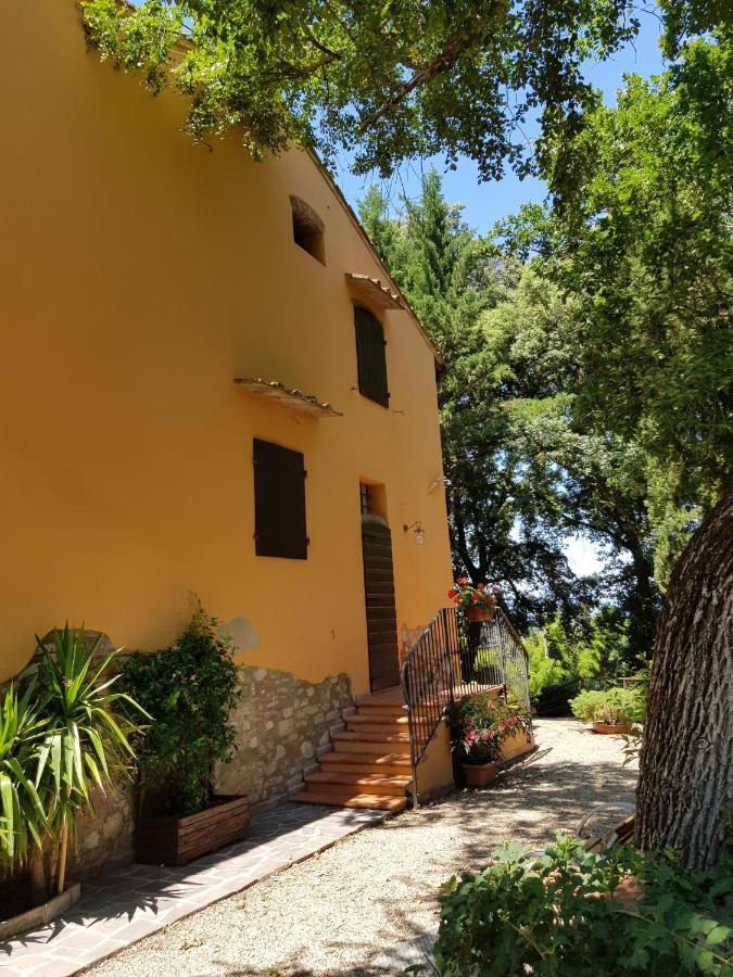 Il Leccio - Casa Toscana Il Fienile Gambassi Terme Exteriör bild